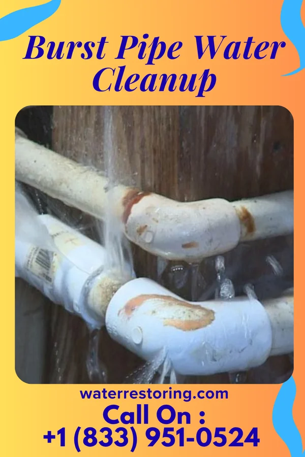 Burst Pipe Water Cleanup in Jackson, MI