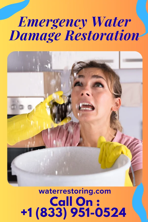 Emergency Water Damage Restoration in Jackson, MI