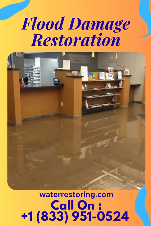 Flood Damage Restoration in Jackson, MI