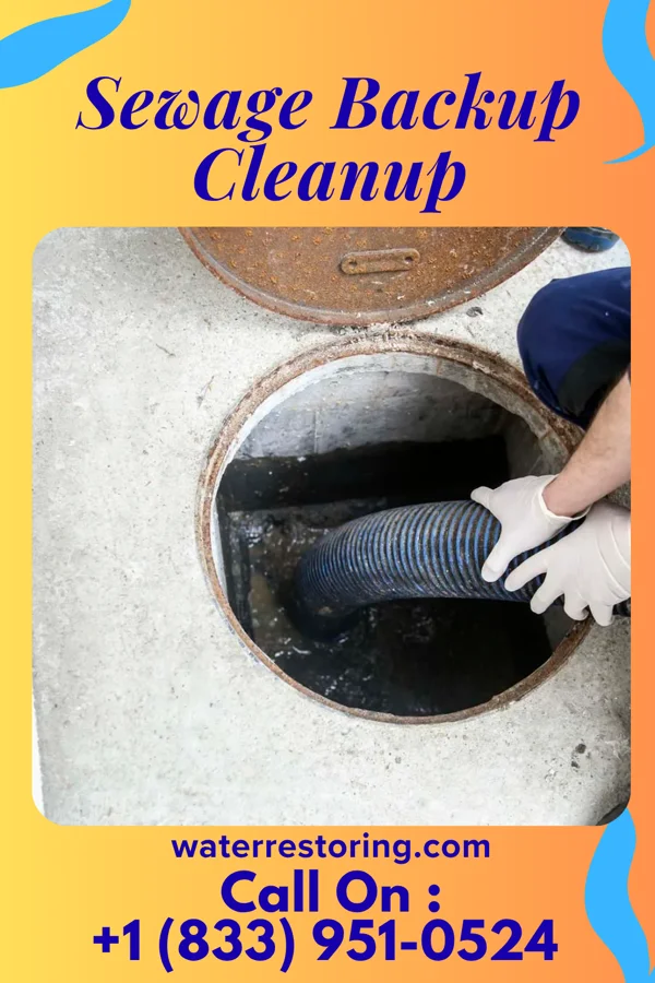 Sewage Backup Cleanup in Jackson, MI