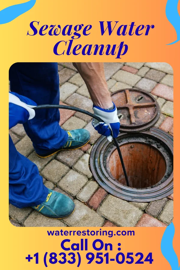 Sewage Water Cleanup in Jackson, MI