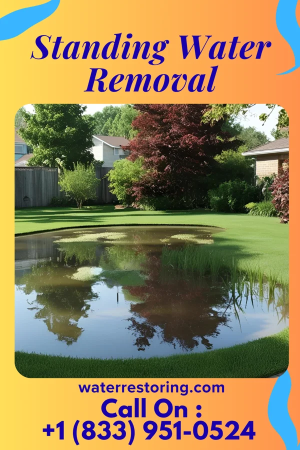 Standing Water Removal in Jackson, MI